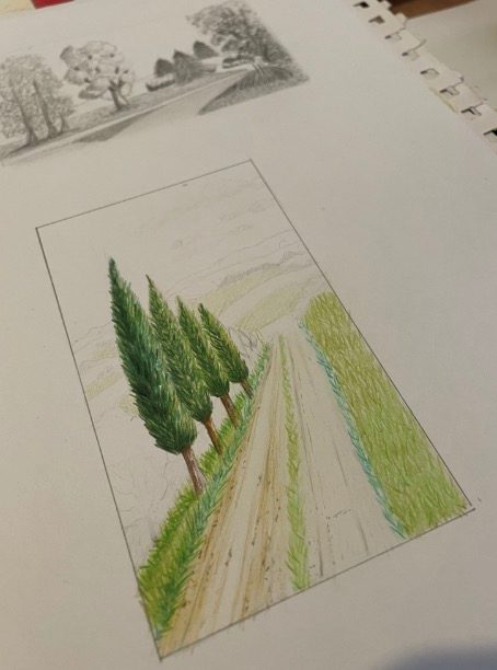Chemin bordé de cyprès aux crayons de couleur